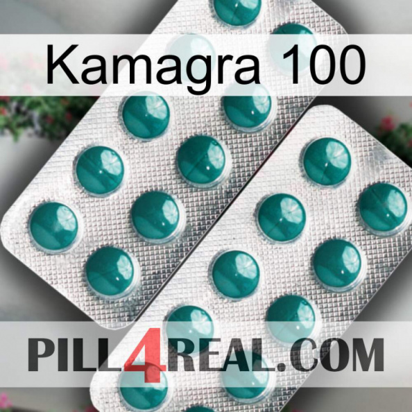 Kamagra 100 dapoxetine2.jpg